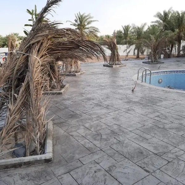 Abandoned outdoor pool area with cracked concrete flooring and dried palm trees, surrounded by greenery and a clear sky 