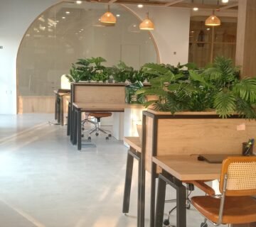 Modern office space featuring wooden desks with plants, ergonomic chairs, and warm pendant lighting, creating a vibrant and inviting work environment 