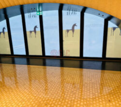 Interior view of a modern building featuring large glass windows with artistic horse silhouettes and a polished floor, highlighting contemporary design elements.