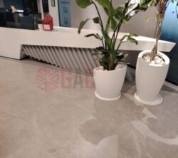 Modern reception area featuring a sleek white desk with a unique geometric design, complemented by decorative potted plants. The polished concrete floor adds to the contemporary aesthetic.